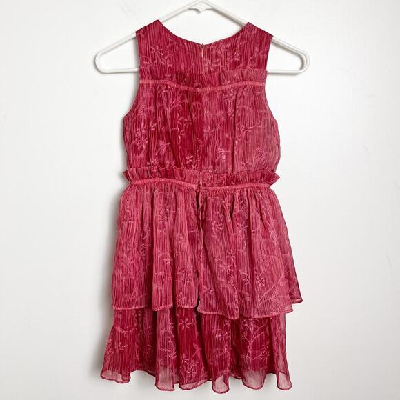 Chasing Fireflies Rose Crinkle Dress Girls 8 Party Holiday Fairy - Picture 6 of 13